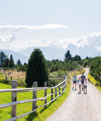 Eine Familie beim Wandern im Sommer