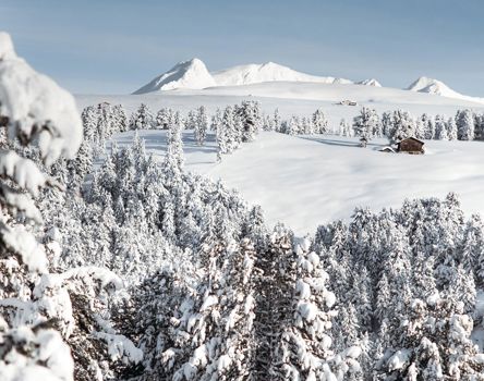 The Villanders mountain pasture in winter
